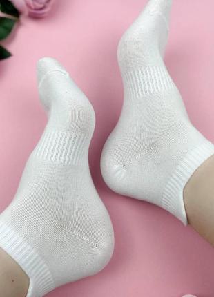 Жіночі шкарпетки, бавовняні в 3-х базових кольорах