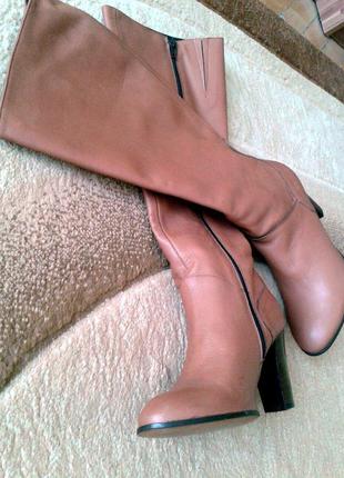 Чоботи жіночі minelli