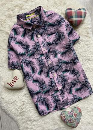 Рубашка 5 лет мальчик