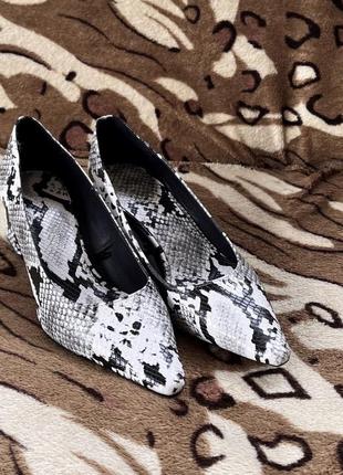 Туфли zara змеиный принт