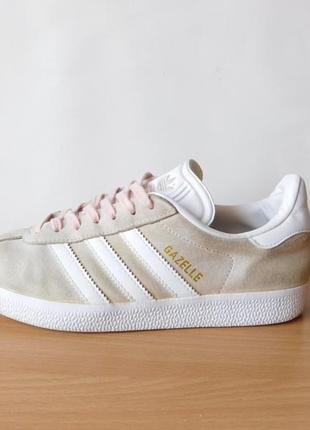 gazelle 37
