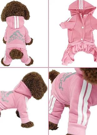 Костюм для собак и кошек "adidog" pink size s6 фото
