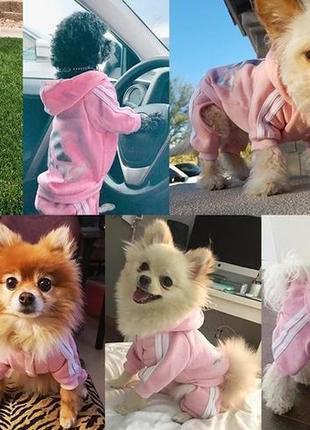Костюм для собак и кошек "adidog" pink size s7 фото