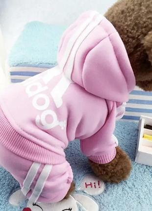 Костюм для собак и кошек "adidog" pink size s