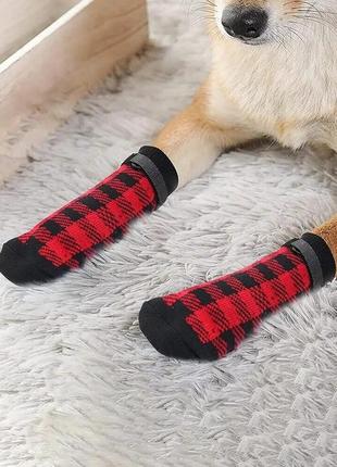 Шкарпетки для собак з нековзними накладками "dracula" size s