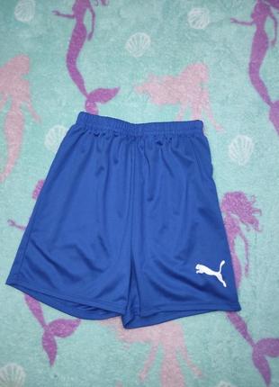 Шорти puma футбольні шорти puma