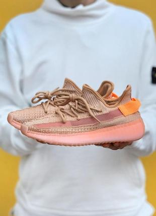 Adidas yeezy boost 350 v2 clay