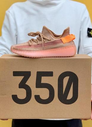 Adidas yeezy boost 350 v2 clay3 фото