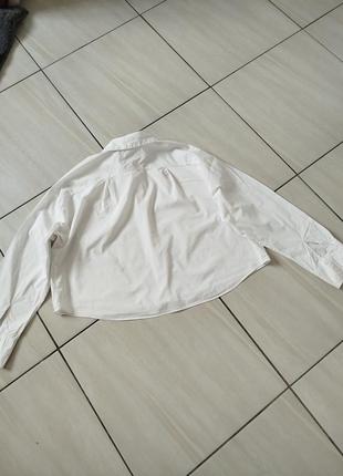 Белоснежная рубашка mango5 фото
