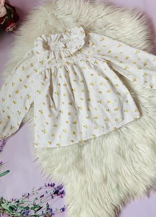 Красивая блузка next девочке 3-4 года