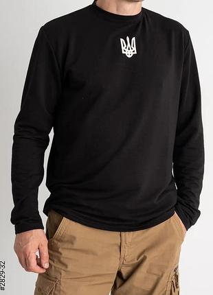 Реглан,лонгслив зу3 фото