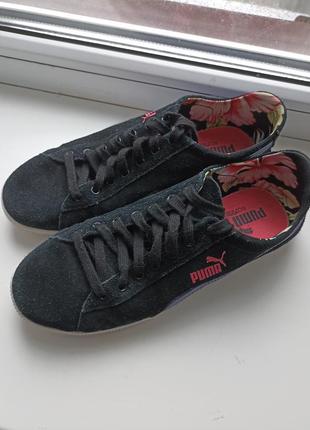 Кросівки Knit puma, кеди