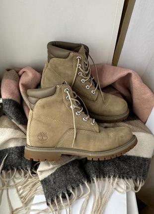 Черевики 8169r timberland