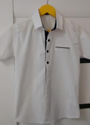 Рубашка школьная для мальчика 10 лет, белая, р.140, короткий рукав. arma, турция