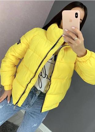 Короткая куртка женская осень весна