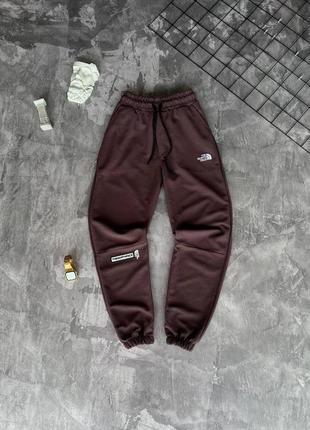 Спортивні штани The North Face