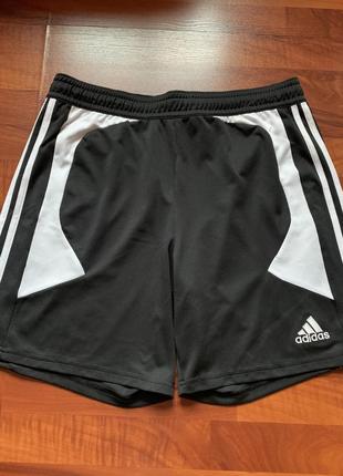 Спортивные шорты adidas1 фото