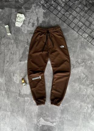 Спортивные штаны the north lmtd