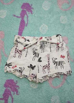 Шорты 6-9 месяцев