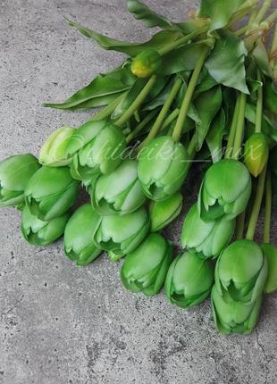 Тюльпаны латексные премиум качества цвет лайм6 фото