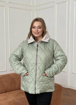 Демисезонная куртка с капюшоном