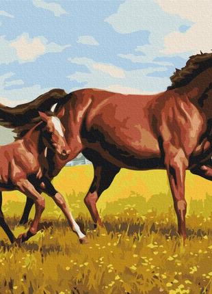 Картина по номерах "сімейний галоп"