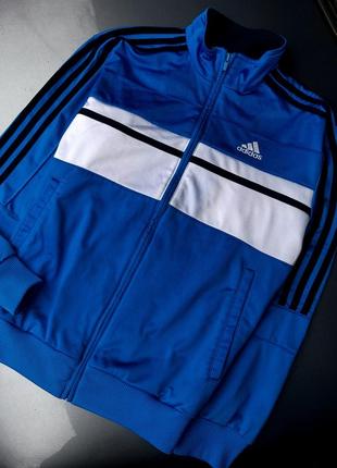 Олимпийка adidas