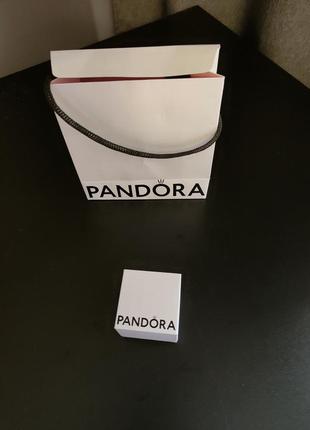 Срібна намистинка дружба pandora5 фото