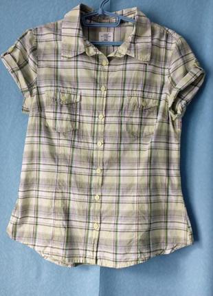 Рубашка женская летняя в клетку logg by h&m, eur 40