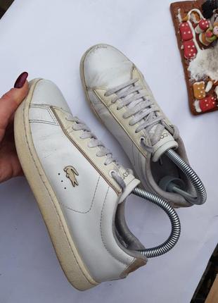 Кеди lacoste