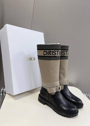 Чоботи в стилі christian dior