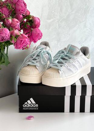 Кросівки adidas superstar beige blue