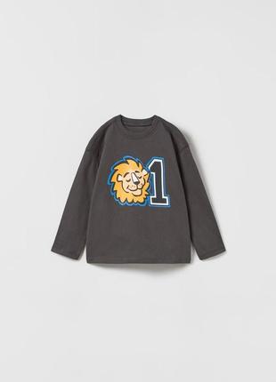 Кофта реглан для ребенка zara