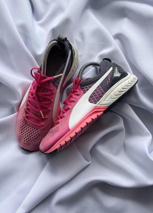 puma evoknit pink
