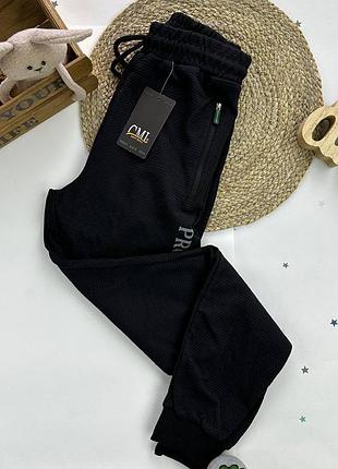 Спортивные штаны двунить