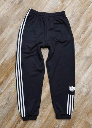 Женские спортивные штаны adidas originals adicolor 3d trefoil3 фото