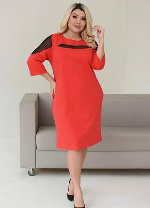 Сукня жіноча