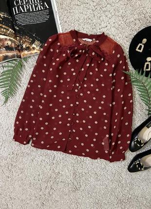 Мила шифонова блуза у горох №161/3