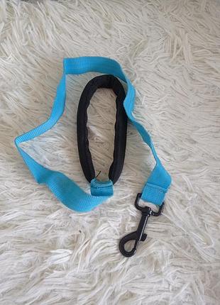 Короткий поводок для собак