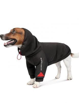 Худи для собак pet fashion "snoodie" черная, размер s