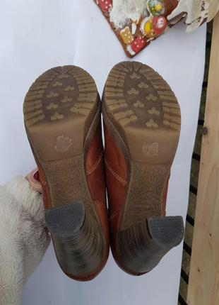 Шикарные теплые ботинки шнуровка santorini испания 389 фото