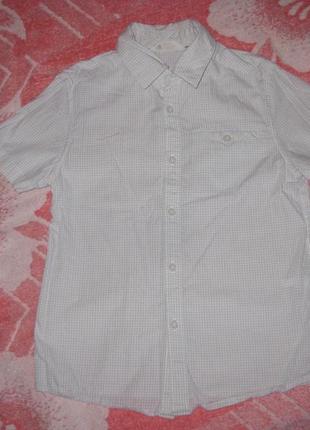 Рубашка фирменная с коротким рукавом h&m1 фото