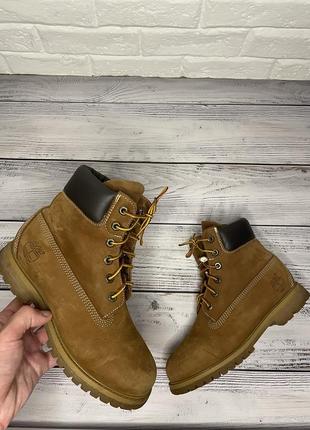 Черевики timberland