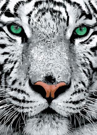 Картина по номерах білий тигр strateg 40х40 см sk023