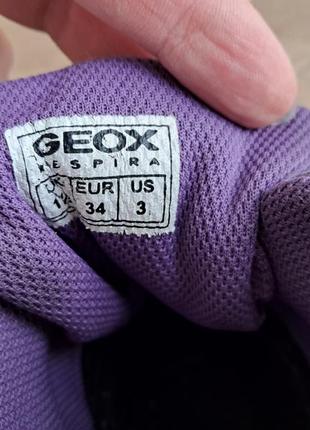 Ботинки geox 347 фото