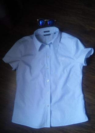 Стильная хлопковая рубашка с короткими рукавами в полоску от marc o polo2 фото