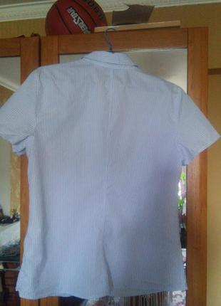 Стильная хлопковая рубашка с короткими рукавами в полоску от marc o polo7 фото