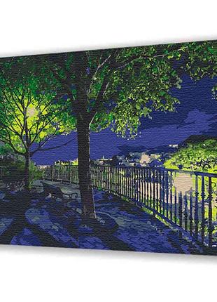 Картина по номерам с лаком artcraft "нічний парк" 40*50 см * 10585-ac