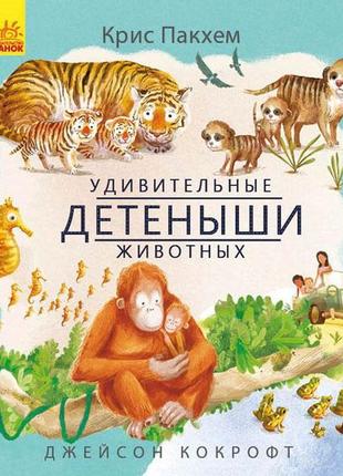 Дивовижна природа: удивительные детёныши животных (р)(135) 2906