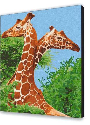 Картина по номерам с лаком artcraft животные "пара жирафів" 40*50 см 11613-ac